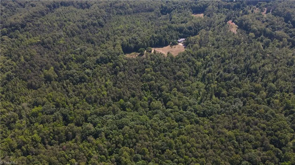 7767 Pearman Quarry Road Kernersville, NC 27284