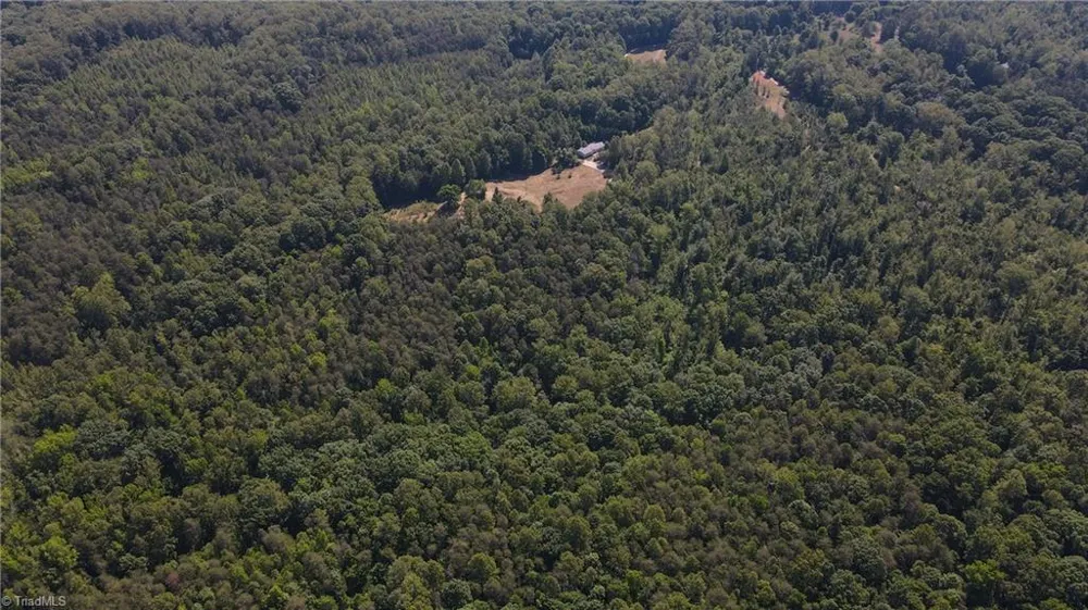 7767 Pearman Quarry Road Kernersville, NC 27284