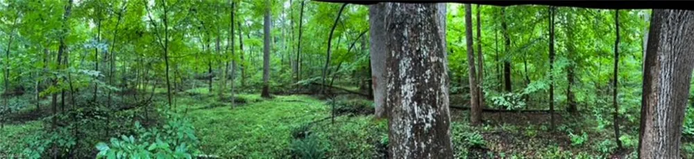 7767 Pearman Quarry Road Kernersville, NC 27284