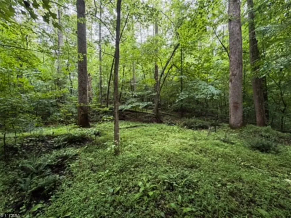7767 Pearman Quarry Road Kernersville, NC 27284