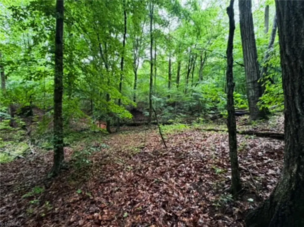 7767 Pearman Quarry Road Kernersville, NC 27284