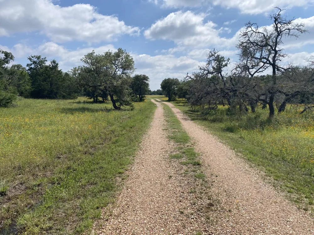 3685 Nixon Lake Road Carmine, TX 78932