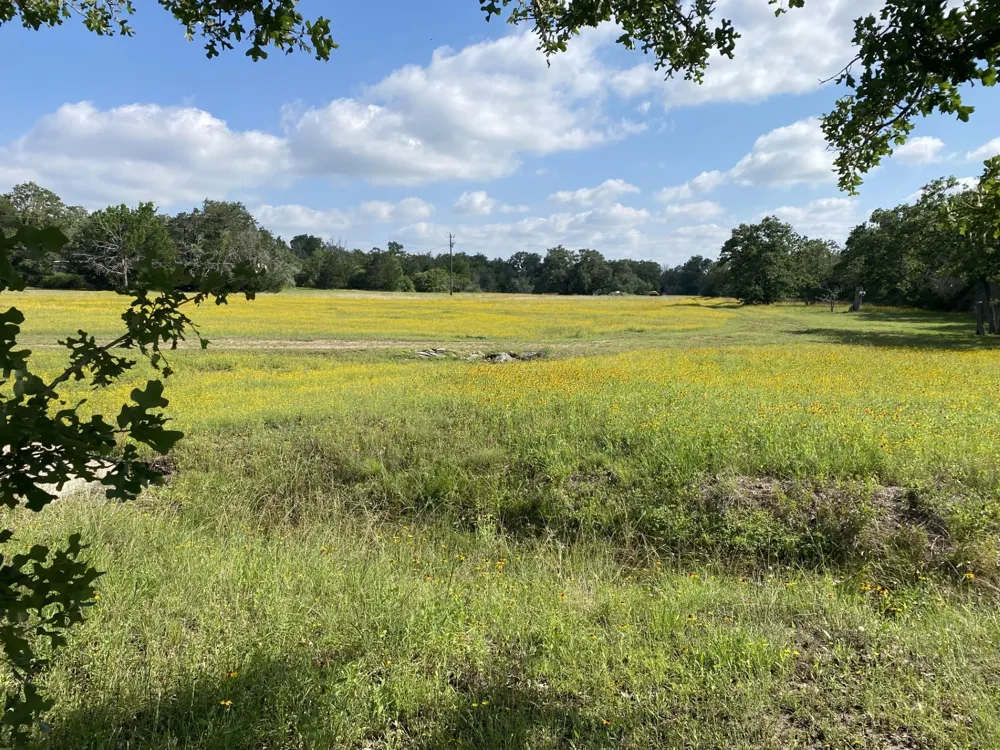 3685 Nixon Lake Road Carmine, TX 78932