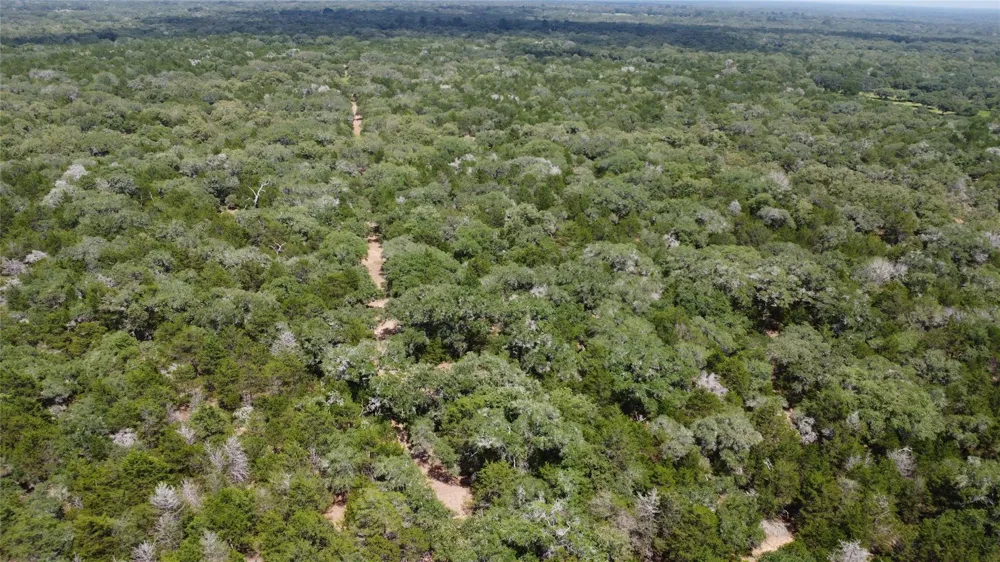 12952 Fm-530 Hallettsville, TX 77964