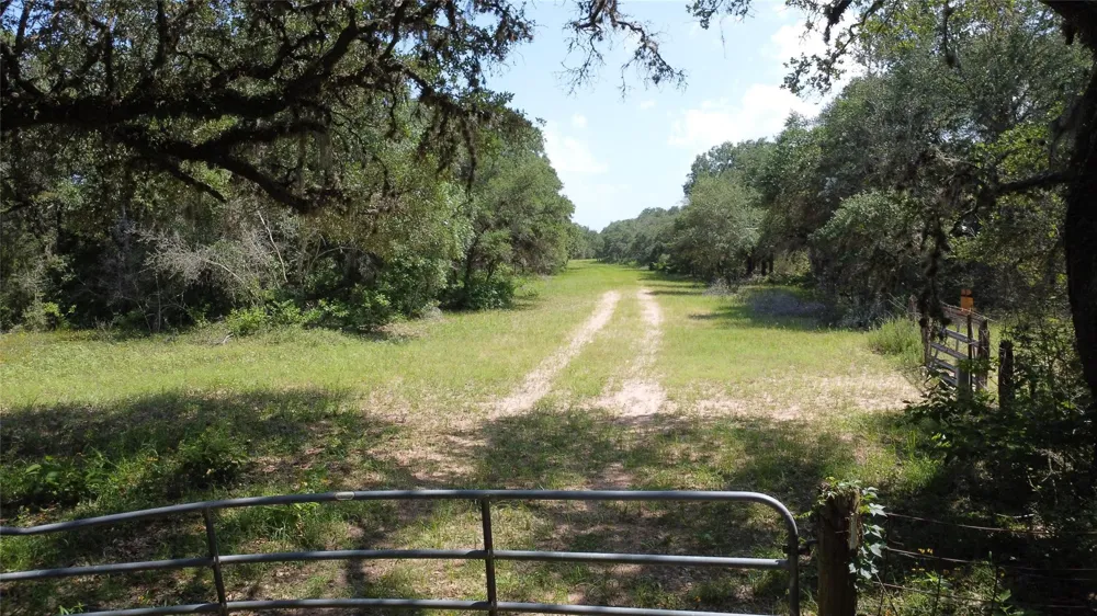 12952 Fm-530 Hallettsville, TX 77964