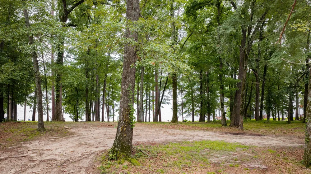 Naus Drive Winnsboro, TX 75494