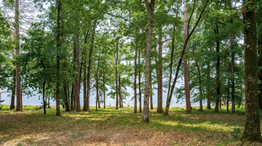 Naus Drive Winnsboro, TX 75494