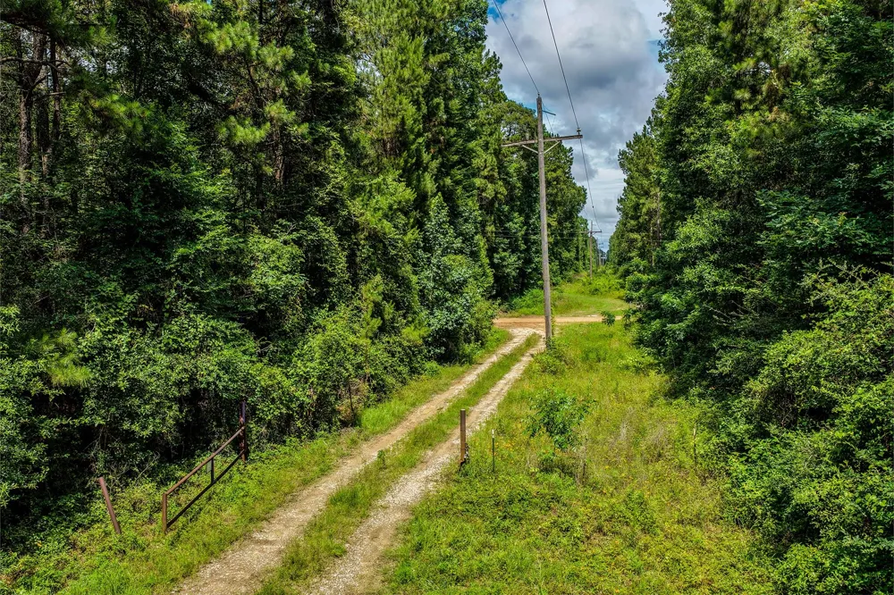 1782 County Line Road Shepherd, TX 77371