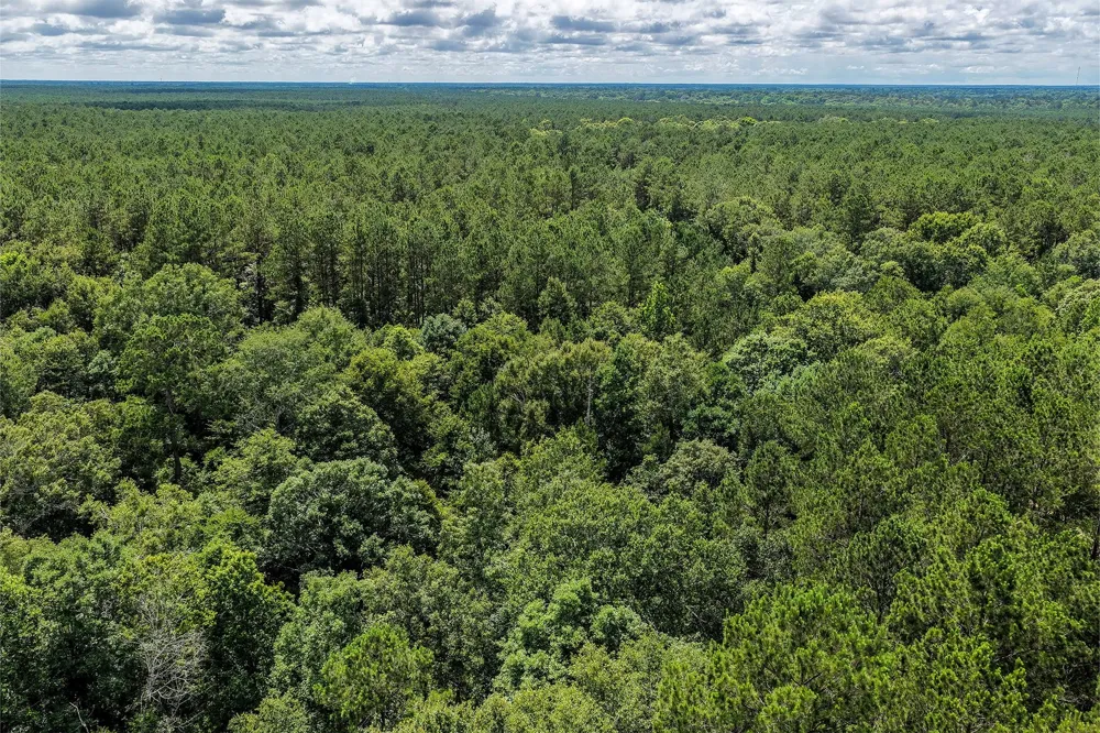 1782 County Line Road Shepherd, TX 77371