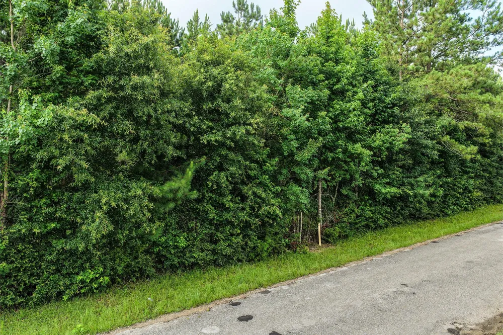 1782 County Line Road Shepherd, TX 77371