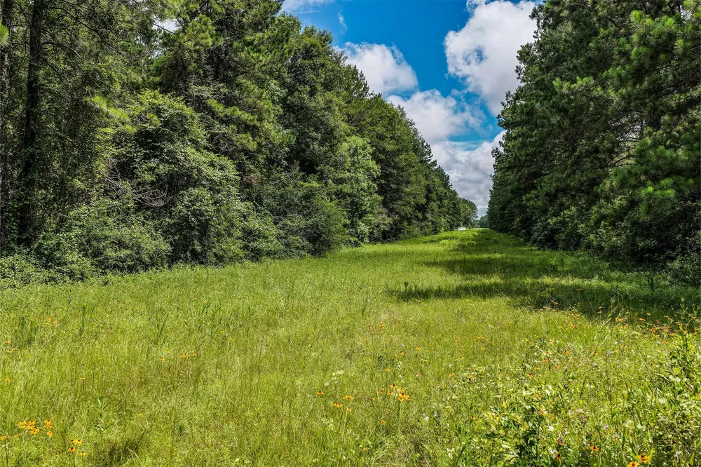 1782 County Line Road Shepherd, TX 77371