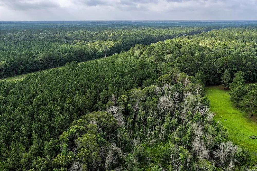 1782 County Line Road Shepherd, TX 77371