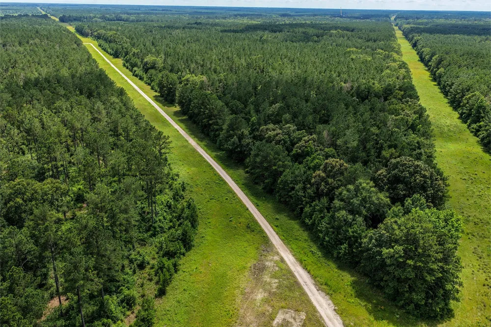 1782 County Line Road Shepherd, TX 77371