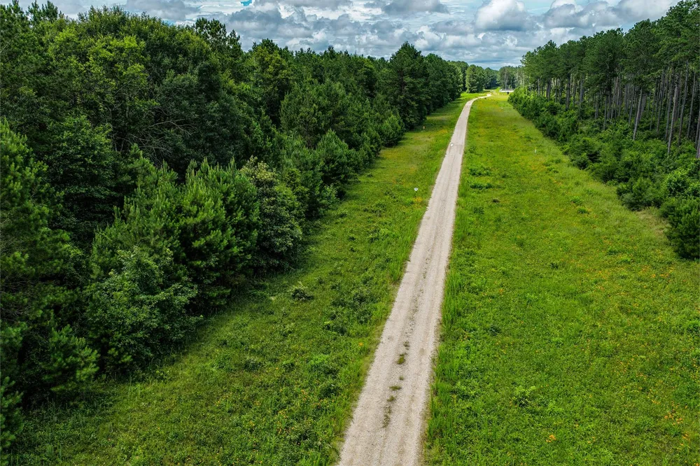 1782 County Line Road Shepherd, TX 77371