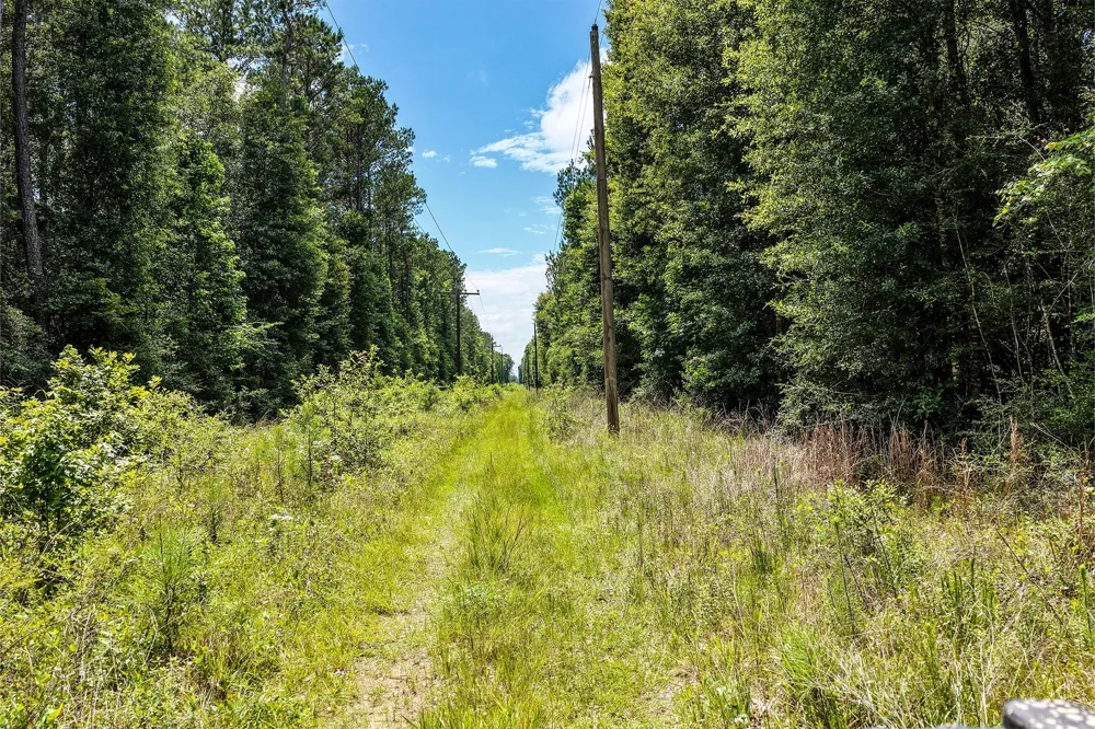 1782 County Line Road Shepherd, TX 77371