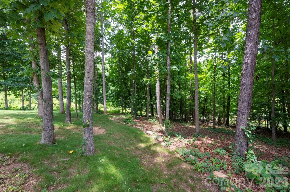 58 Shuler Road Candler, NC 28715