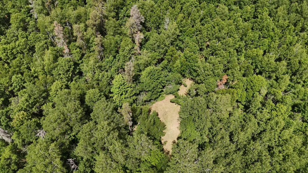 TBD E Mail Road Gordon, WI 54838