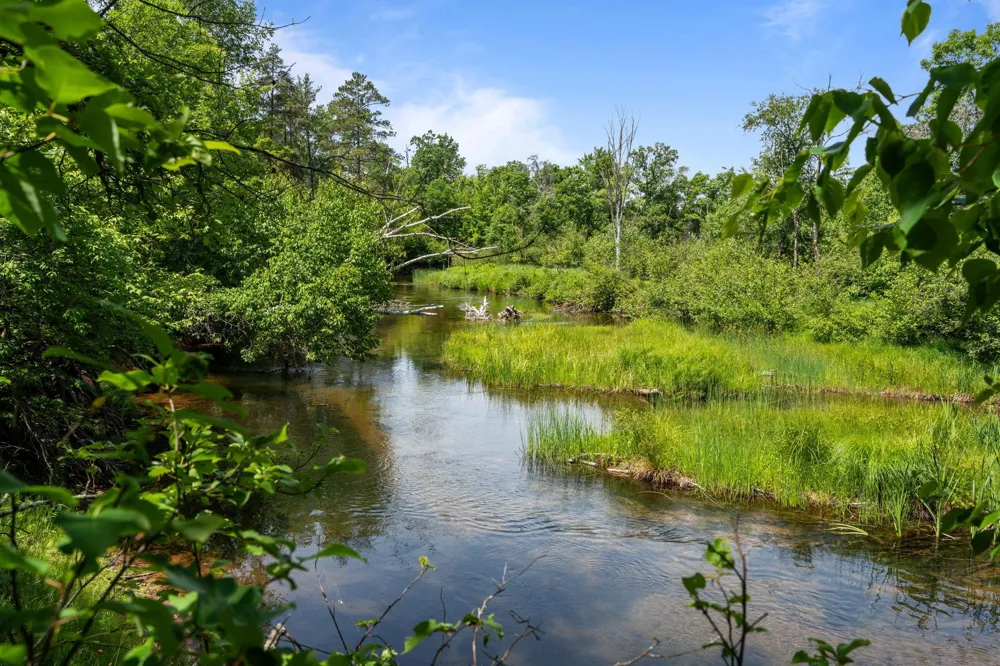 TBD E Mail Road Gordon, WI 54838