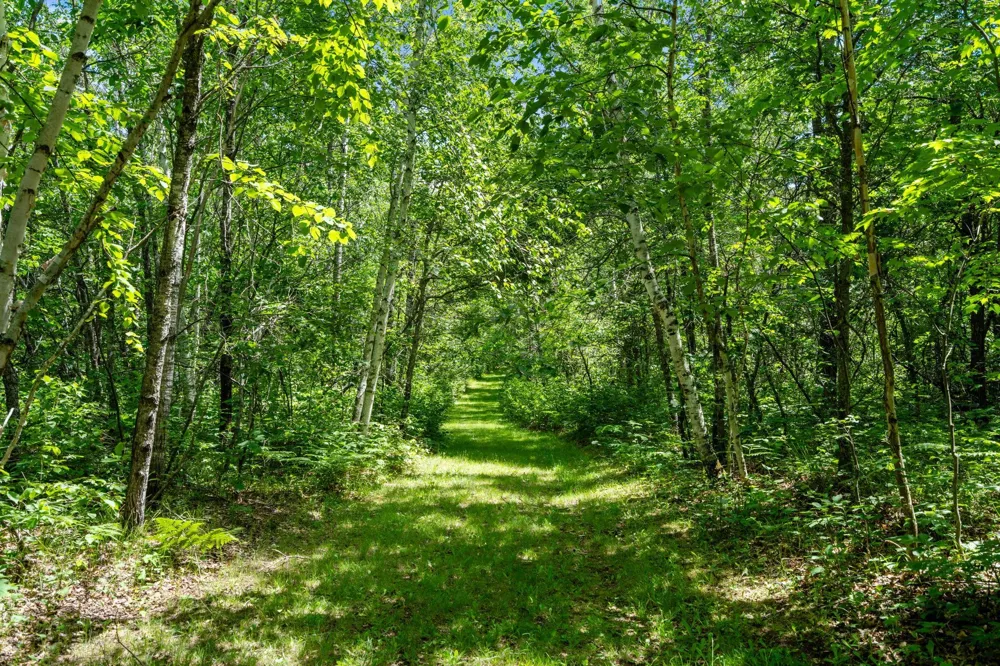 TBD E Mail Road Gordon, WI 54838