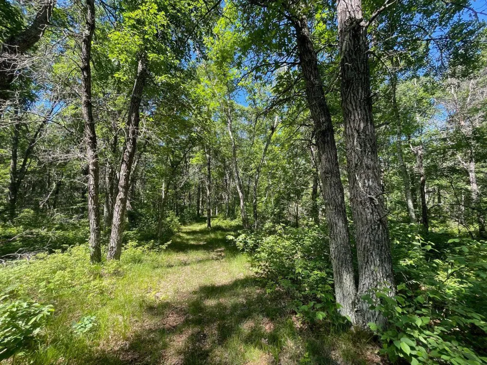 TBD E Mail Road Gordon, WI 54838