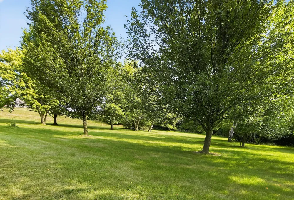 6961 Suncrest Drive Saline, MI 48176