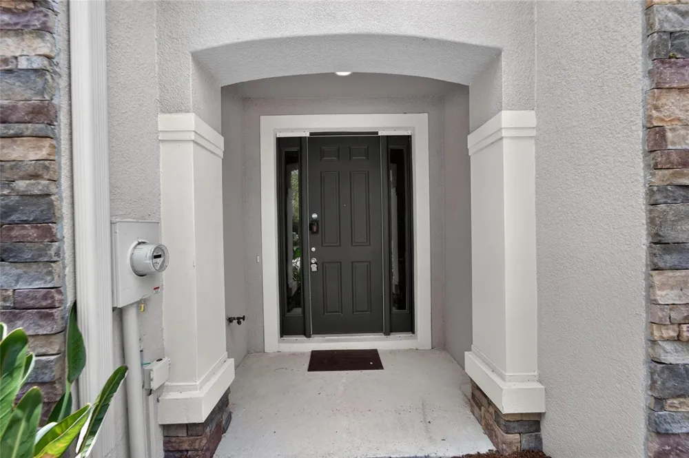 10411 RED CARPET COURT Riverview, FL 33578