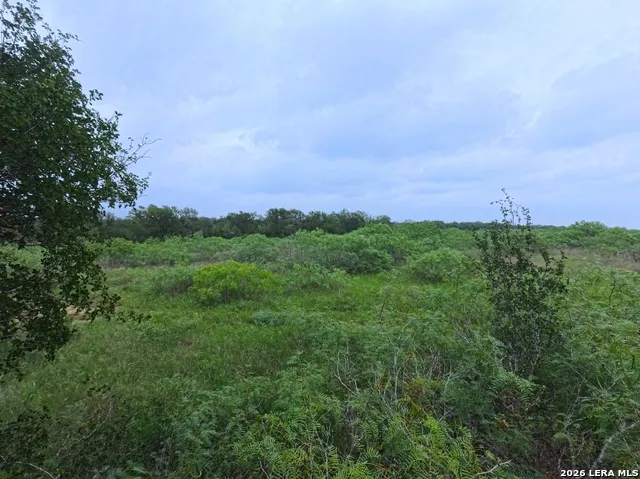 0 County Road 467 Elgin, TX 78621
