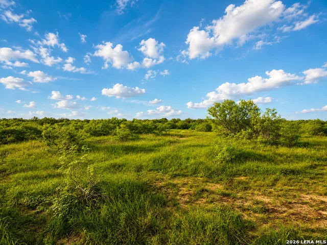 0 County Road 467 Elgin, TX 78621