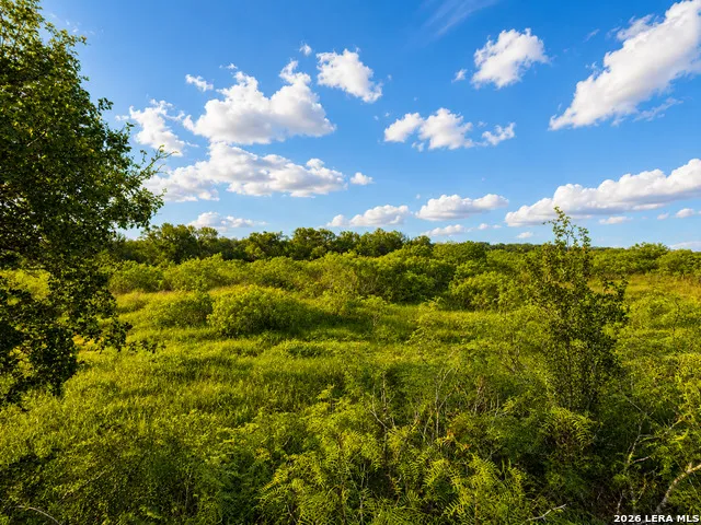 0 County Road 467 Elgin, TX 78621