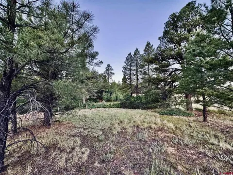 3898 Pagosa Boulevard