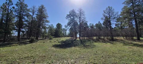 225 Badger Trail