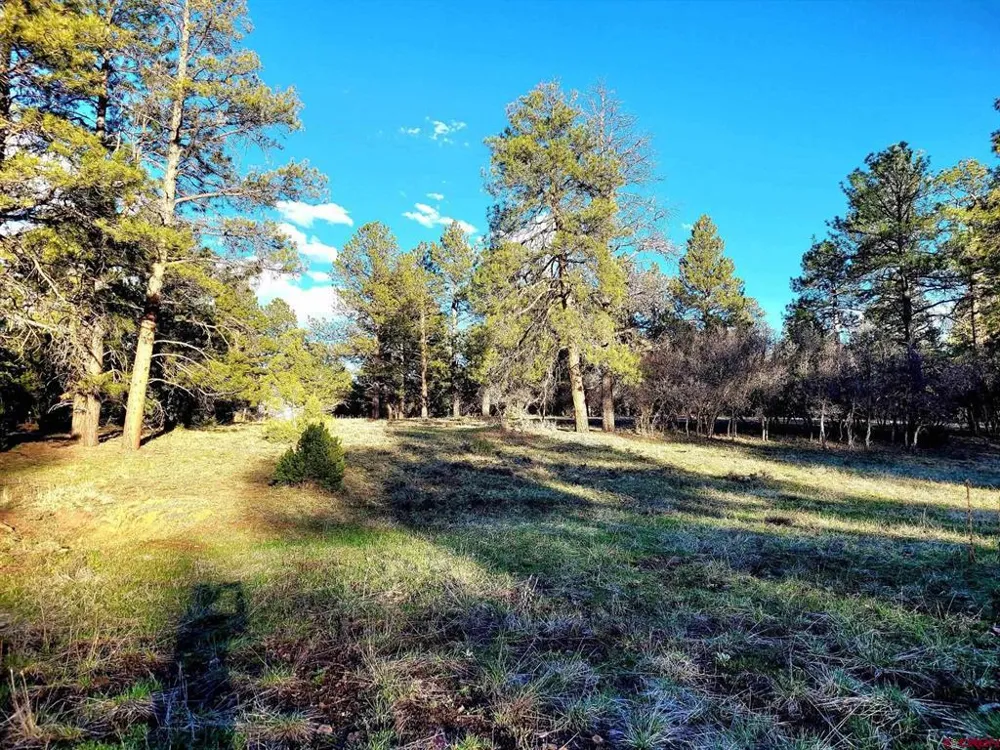225 Badger Trail Ridgway, CO 81432