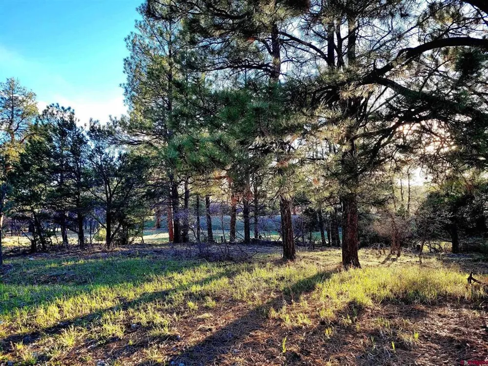 225 Badger Trail Ridgway, CO 81432