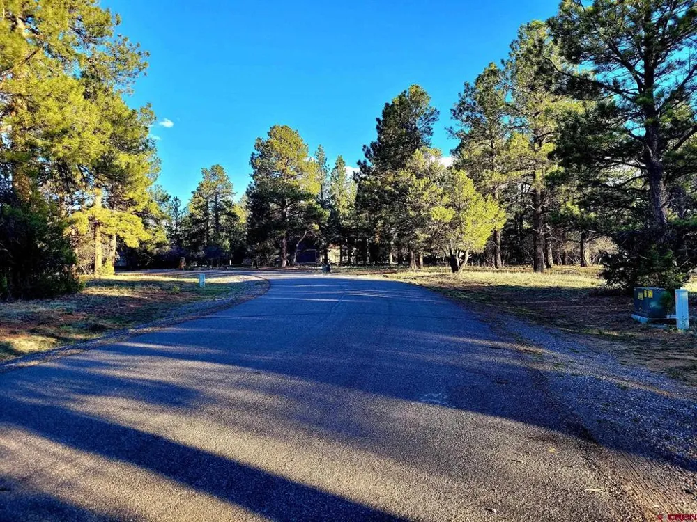 225 Badger Trail Ridgway, CO 81432