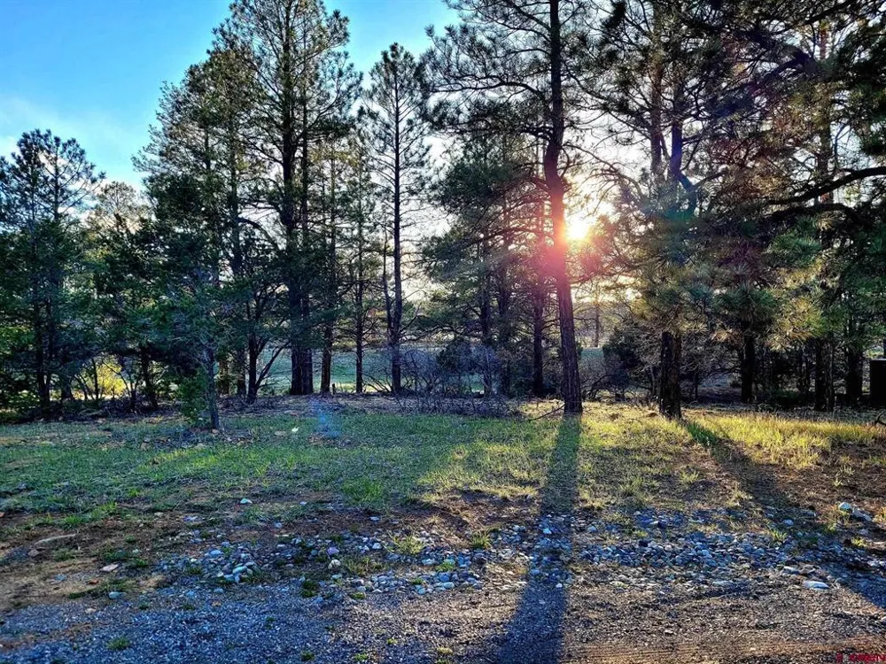 225 Badger Trail Ridgway, CO 81432