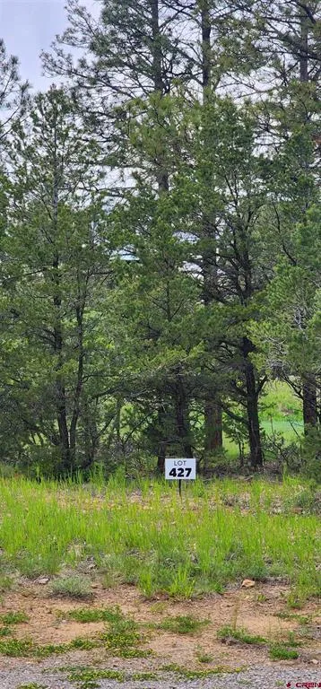 225 Badger Trail Ridgway, CO 81432