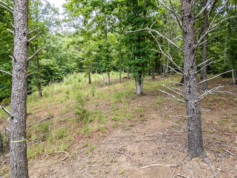 Lt 1 Stormy Ridge Brasstown, NC 28902