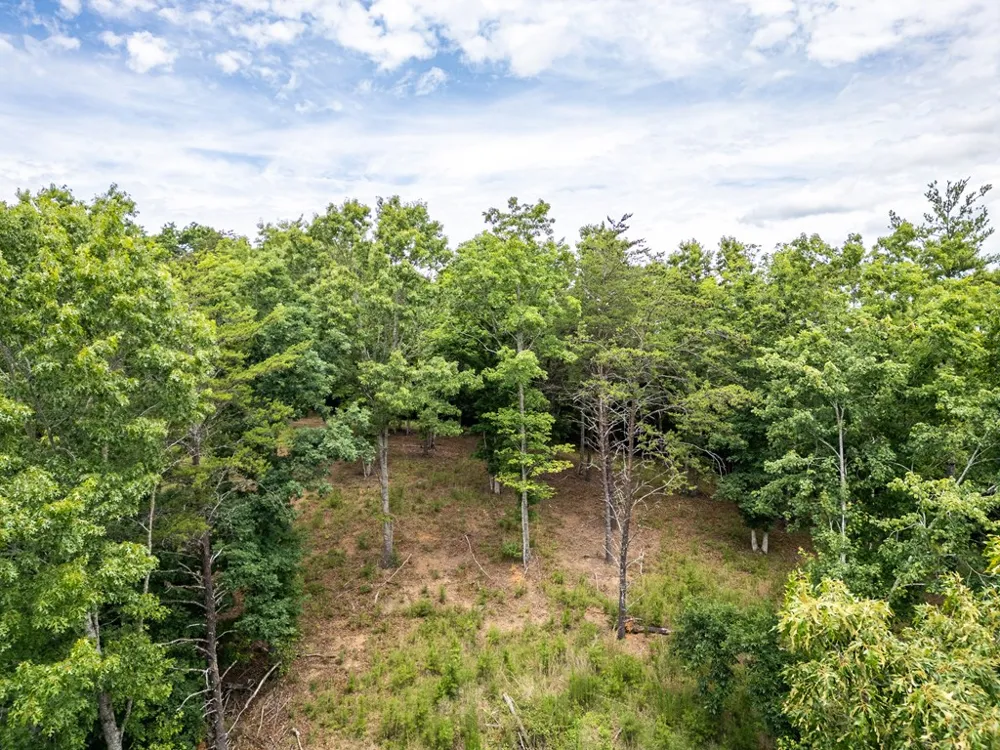 Lt 1 Stormy Ridge Brasstown, NC 28902