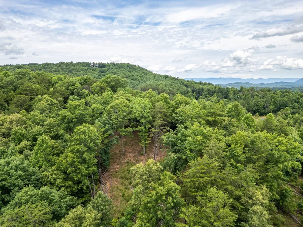 Lt 1 Stormy Ridge Brasstown, NC 28902