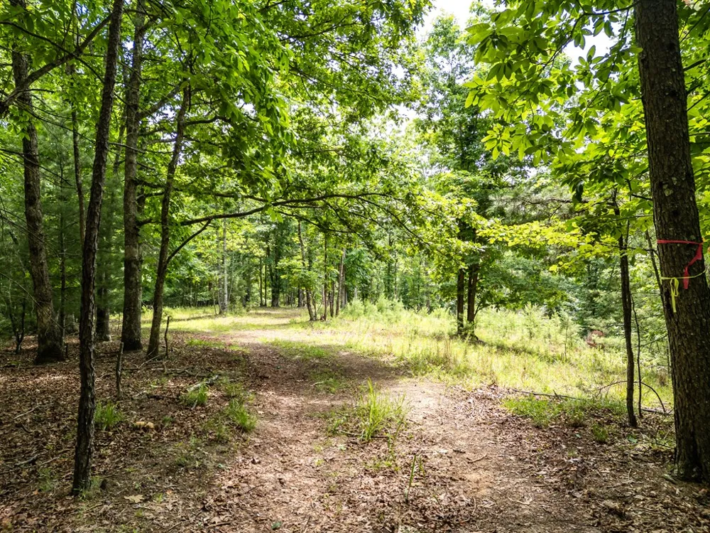 Lt 1 Stormy Ridge Brasstown, NC 28902