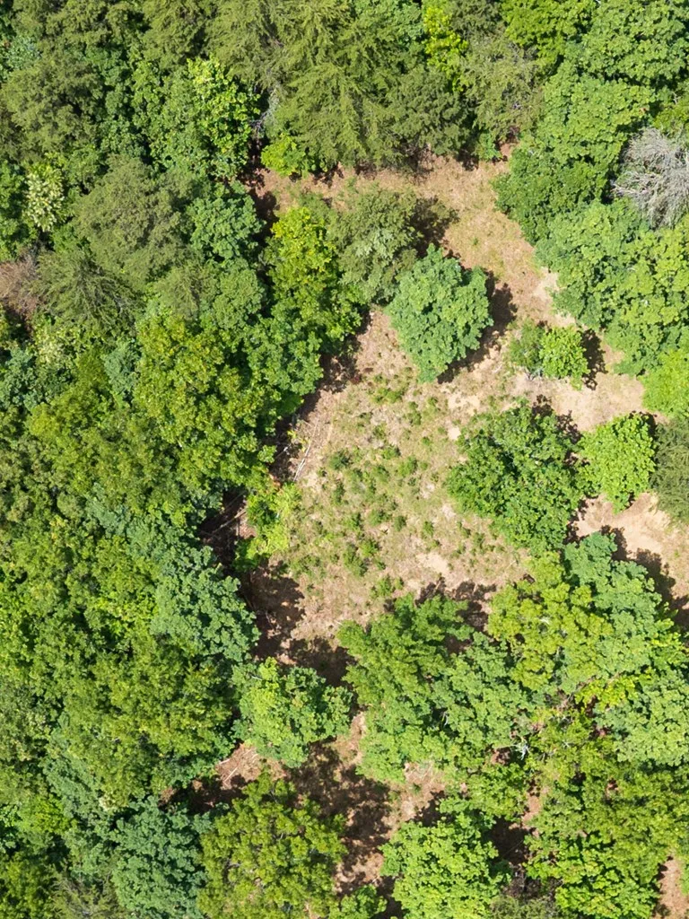 Lt 1 Stormy Ridge Brasstown, NC 28902