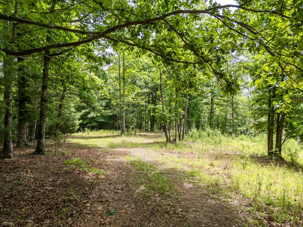 Lt 1 Stormy Ridge Brasstown, NC 28902