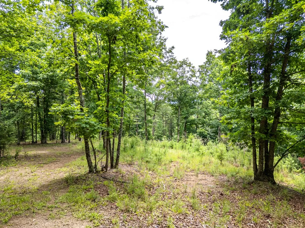 Lt 1 Stormy Ridge Brasstown, NC 28902