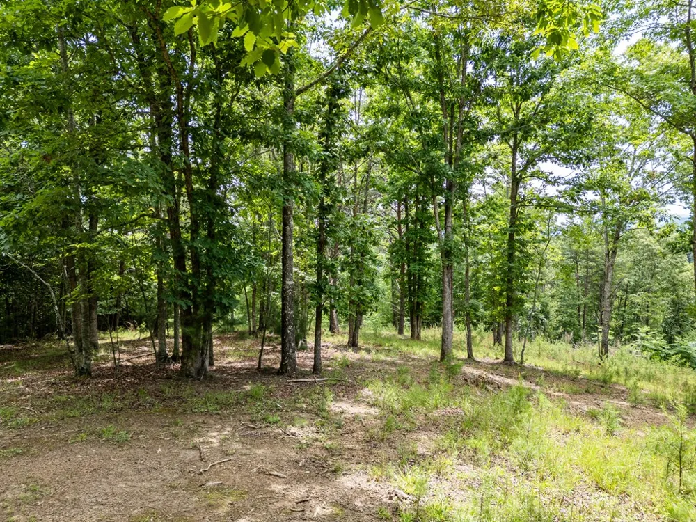 Lt 1 Stormy Ridge Brasstown, NC 28902