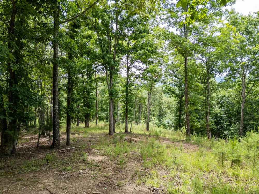 Lt 1 Stormy Ridge Brasstown, NC 28902
