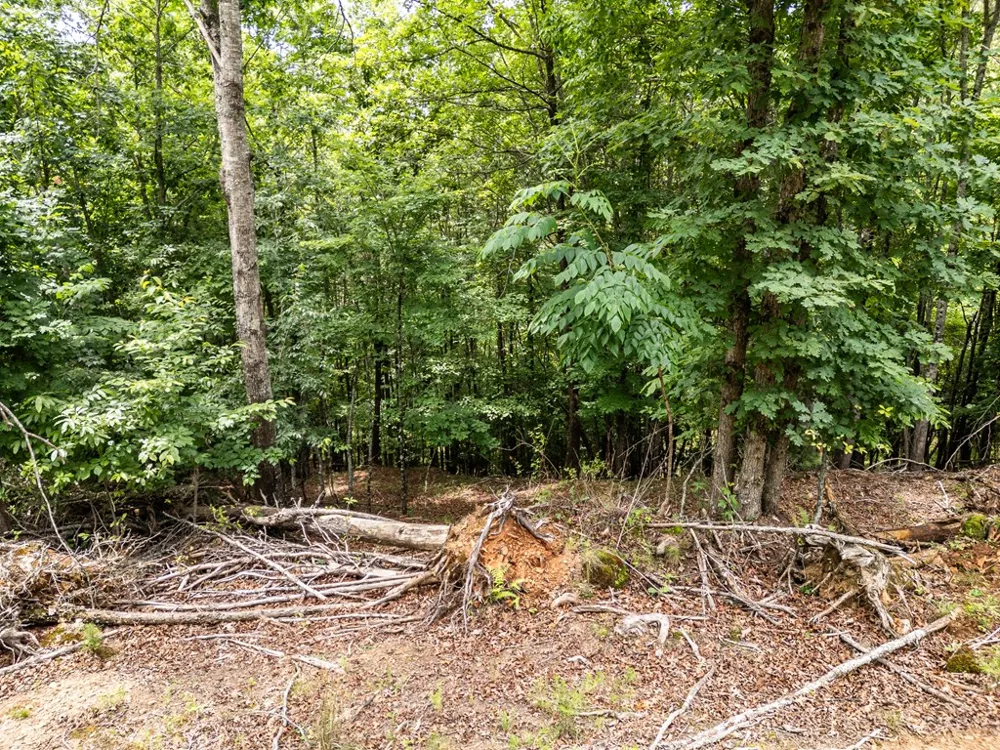 Lt 1 Stormy Ridge Brasstown, NC 28902