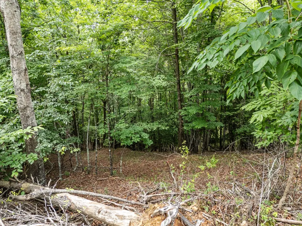 Lt 1 Stormy Ridge Brasstown, NC 28902