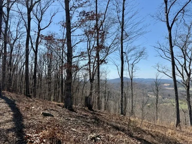 Lot 24 Grand Laurel Brasstown, NC 28902