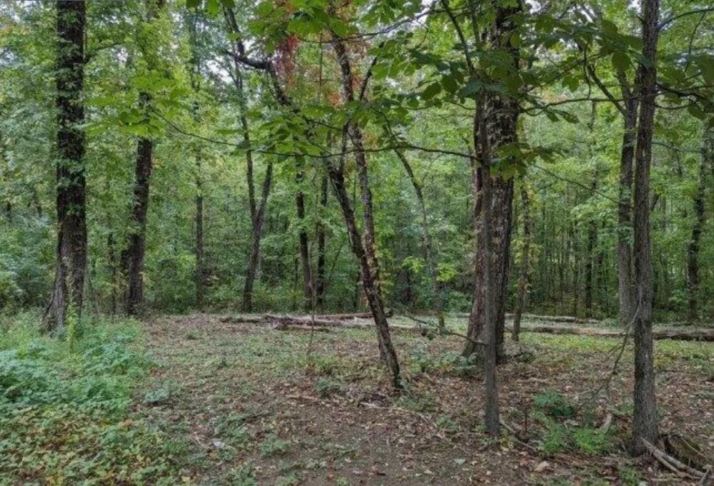 4276 Taft Highway Signal Mountain, TN 37377