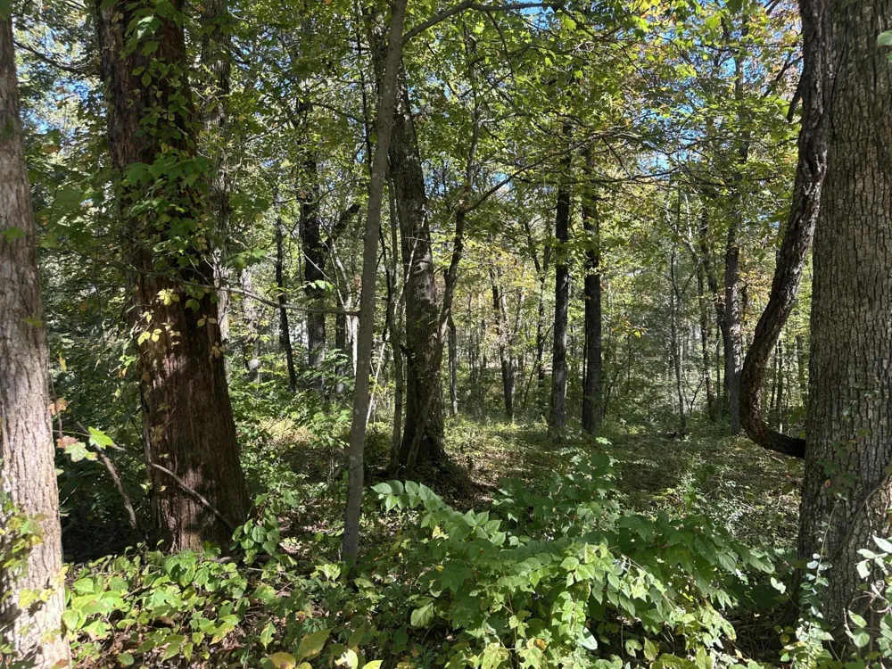 4276 Taft Highway Signal Mountain, TN 37377